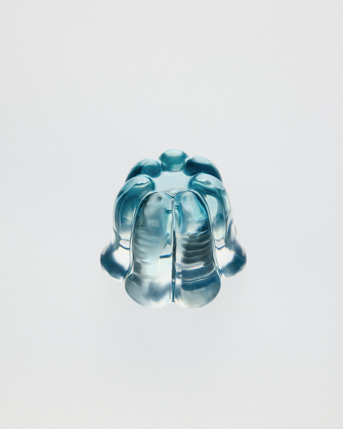 The Jelly