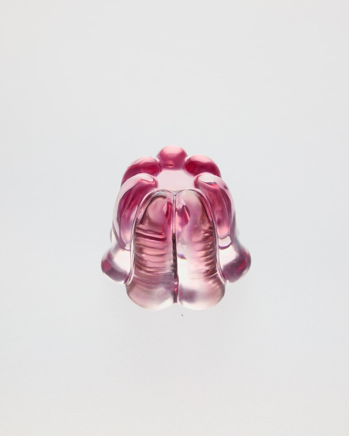 The Jelly