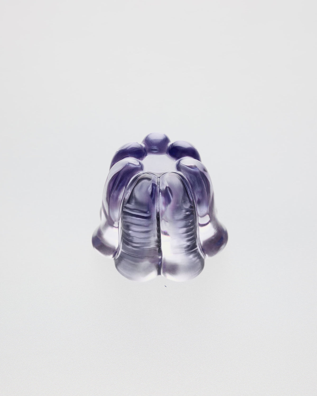 The Jelly